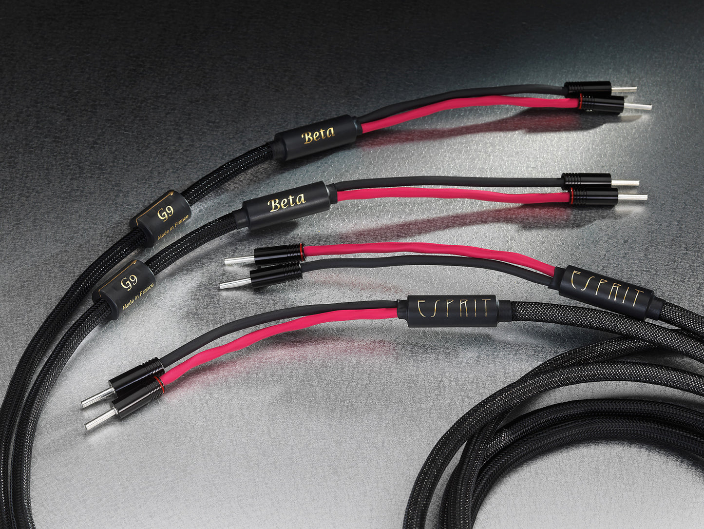 Esprit Beta Speaker Cable