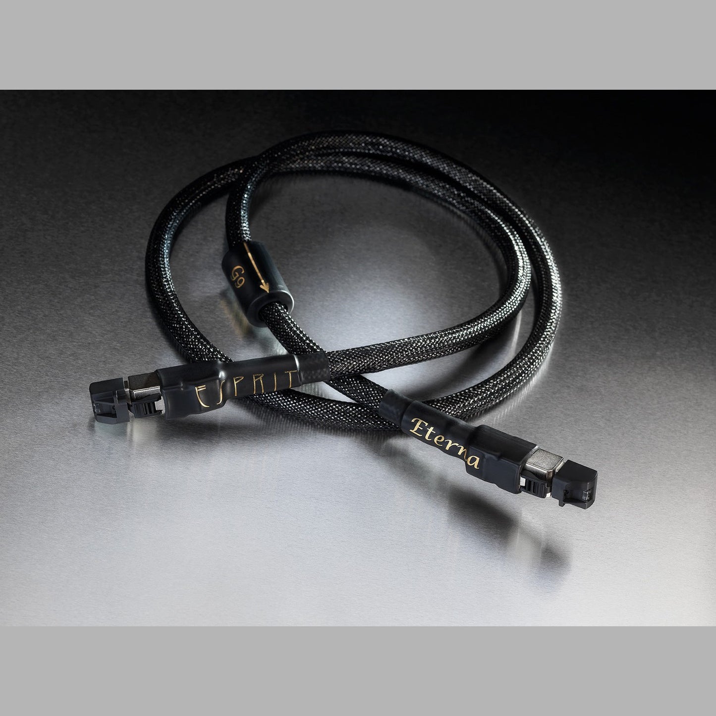 Esprit Eterna RJ45 Ethernet