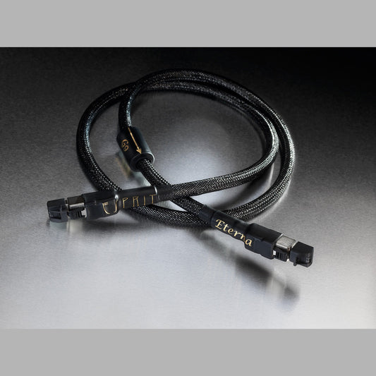 Esprit Eterna RJ45 Ethernet