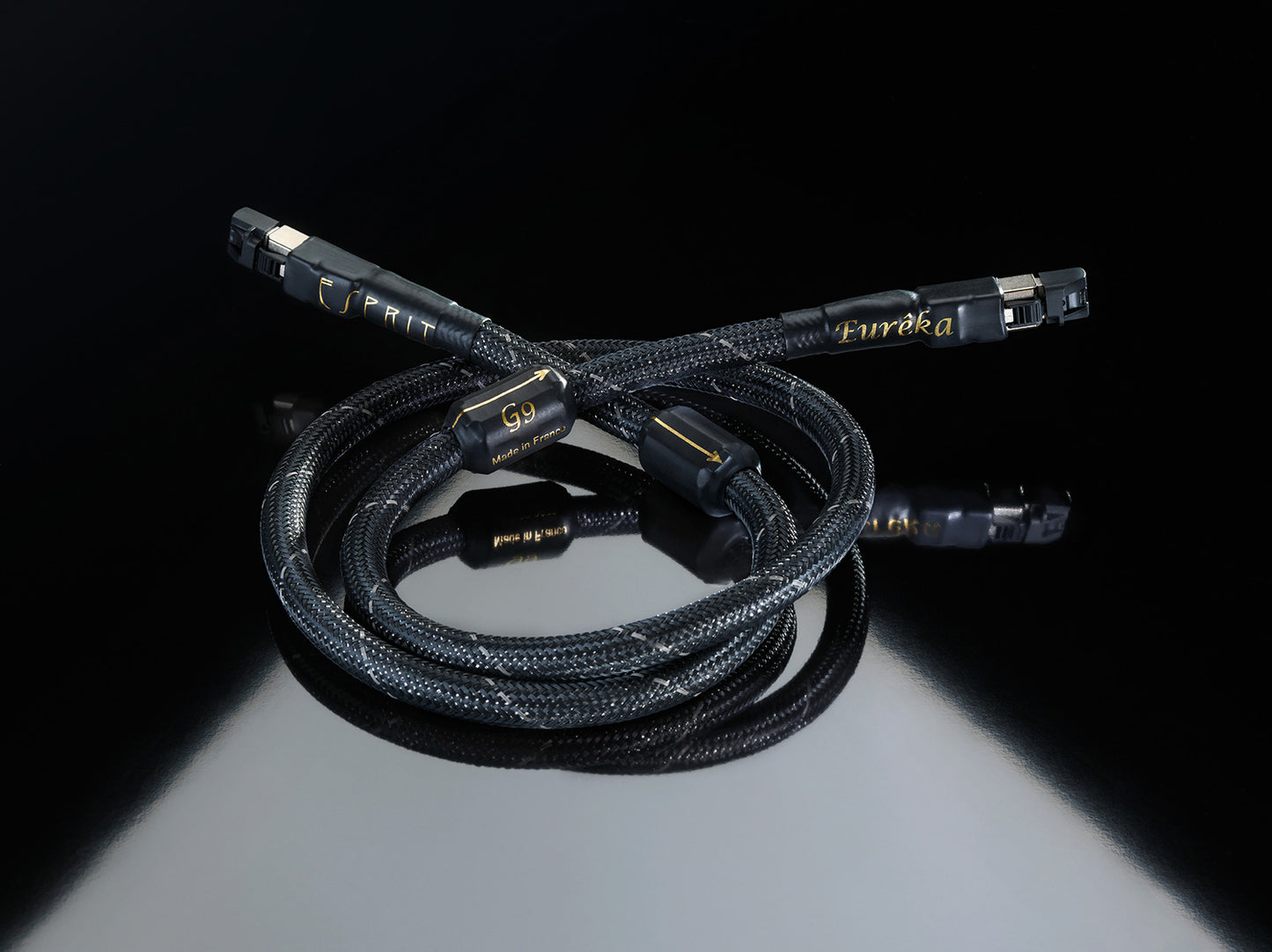 Esprit Eureka RJ45 Ethernet