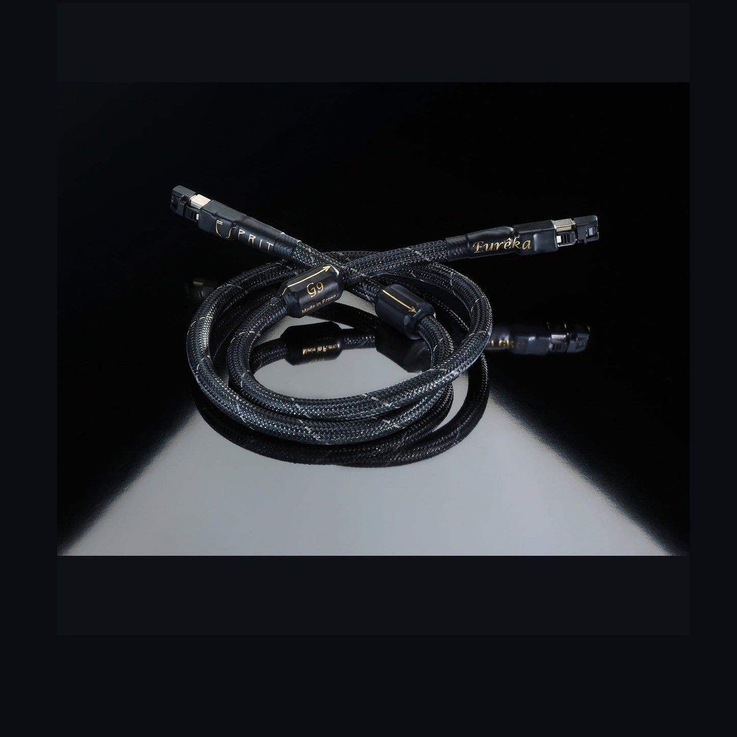 Esprit Eureka RJ45 Ethernet