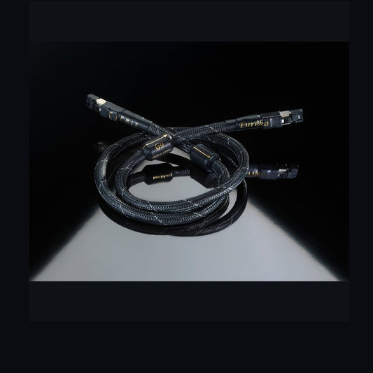 Esprit Eureka RJ45 Ethernet