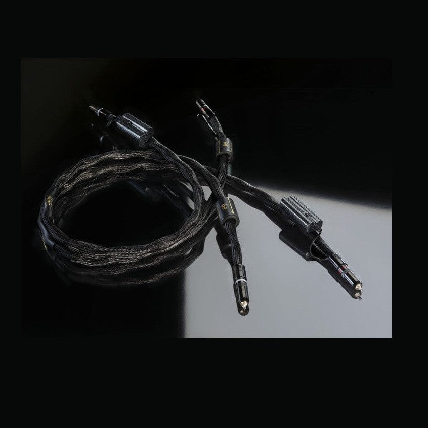Esprit Gaia RCA Interconnect
