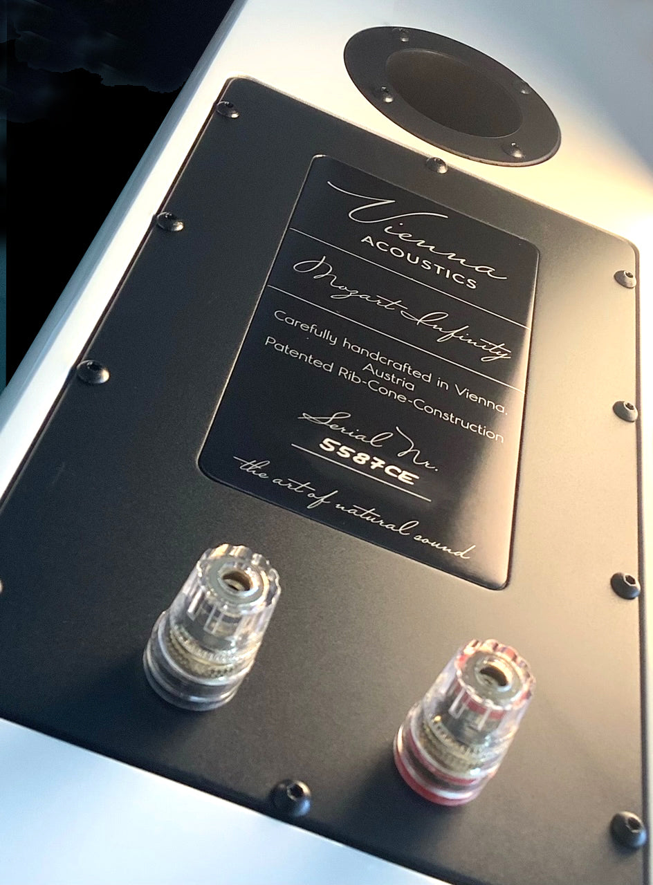 Vienna Acoustics Mozart Infinity - New!