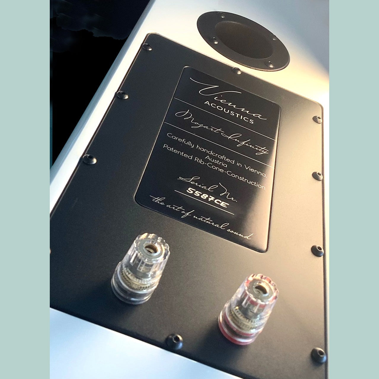 Vienna Acoustics Mozart Infinity - Open Box