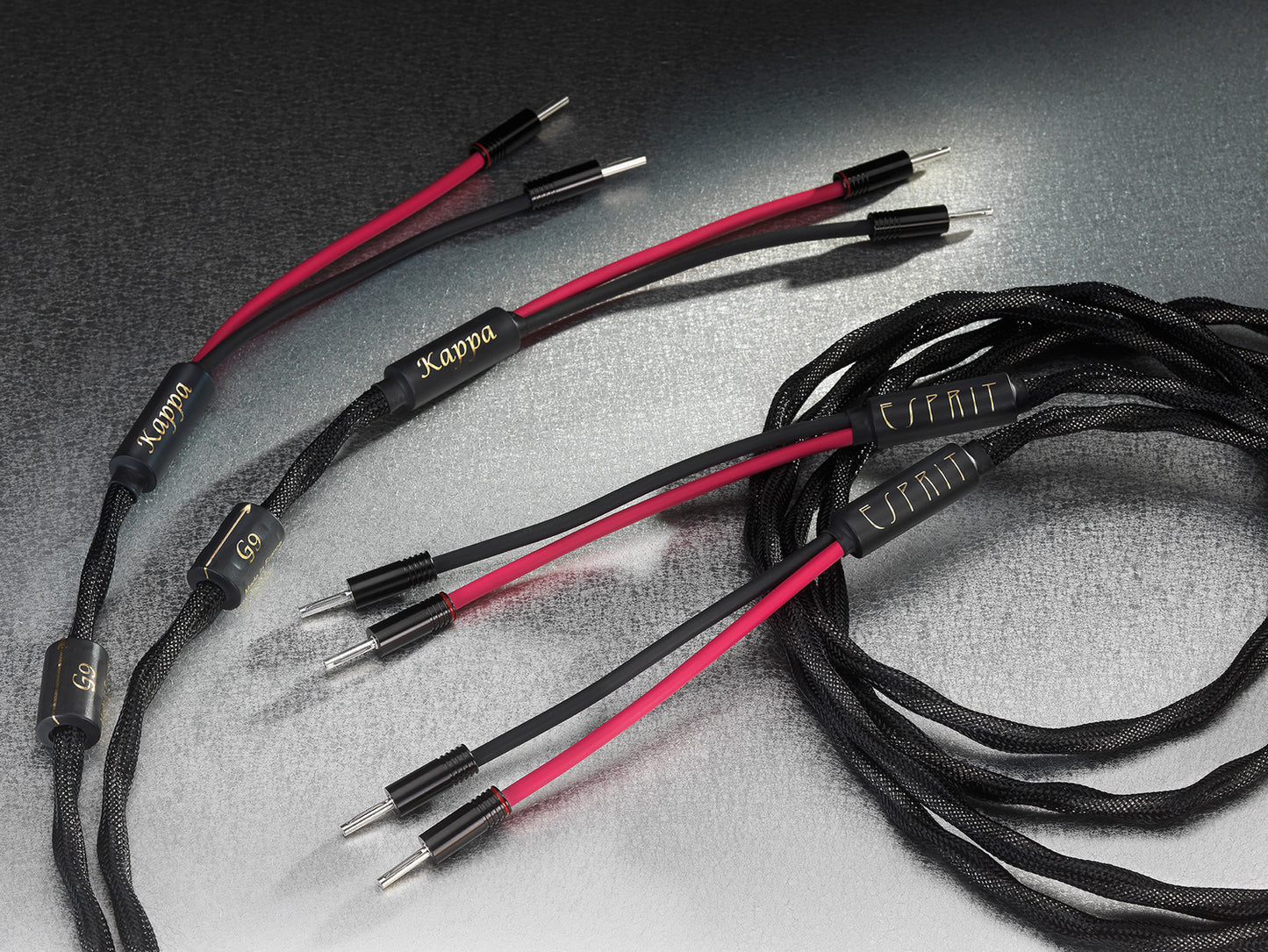 Esprit Kappa Speaker Cable
