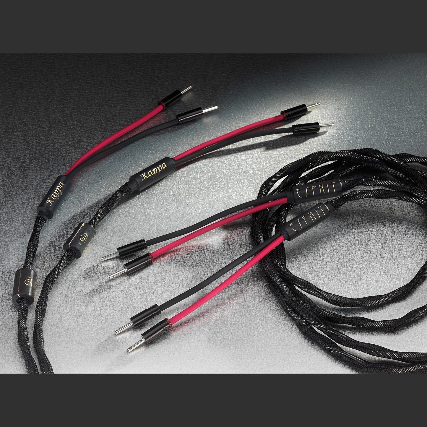 Esprit Kappa Speaker Cable