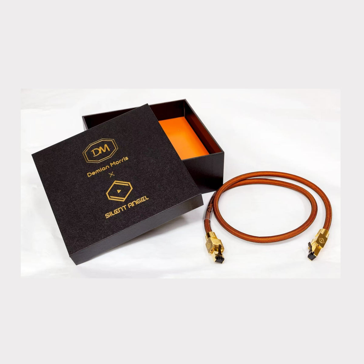 Silent Angel x DM Connect CAT8 Ethernet Cable