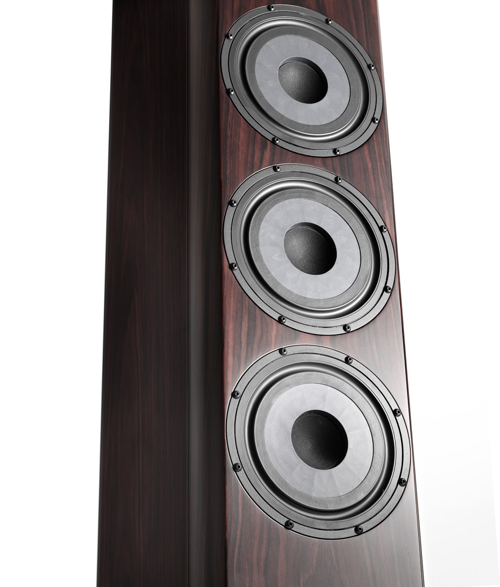 Vienna Acoustics Midrange Woofer - BEETHOVEN CONCERT Grand Reference