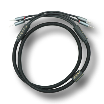 .Esprit Speaker Cables - GenX
