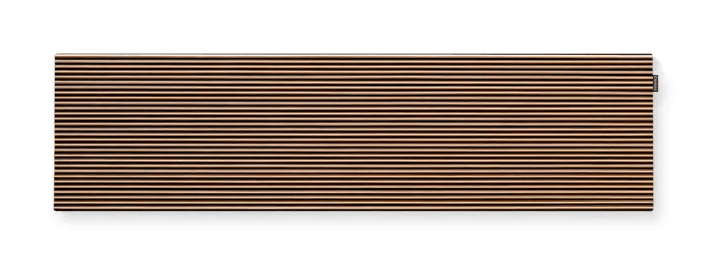CANVAS Solo Speaker