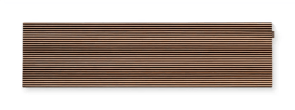 CANVAS Solo Speaker