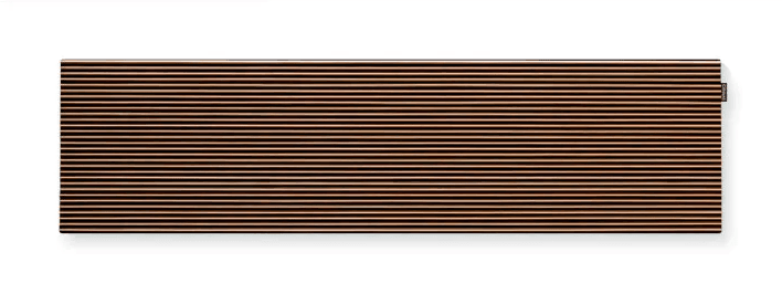 CANVAS Solo Speaker