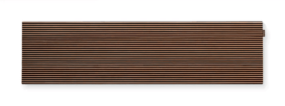 CANVAS Solo Speaker