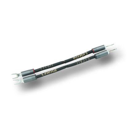 .Esprit Speaker Jumper Cables - GenX