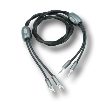 .Esprit Speaker Cables - GenX