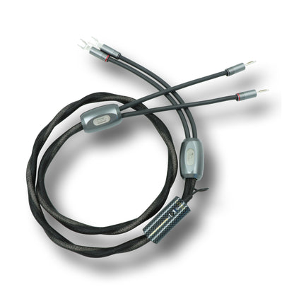.Esprit Speaker Cables - GenX