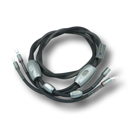 .Esprit Speaker Cables - GenX