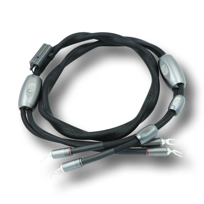.Esprit Speaker Cables - GenX