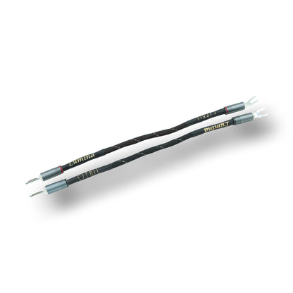 .Esprit Speaker Jumper Cables - GenX