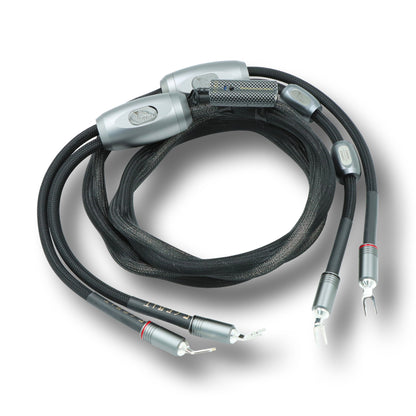 .Esprit Speaker Cables - GenX