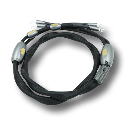 .Esprit Speaker Cables - GenX