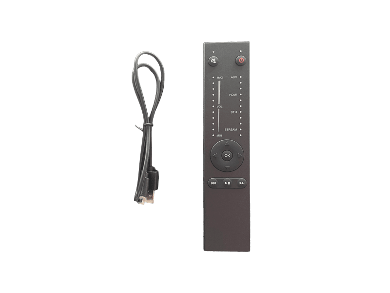 CANVAS Remote