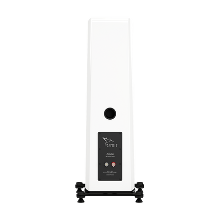 ..Esprit Loudspeaker - Amelia
