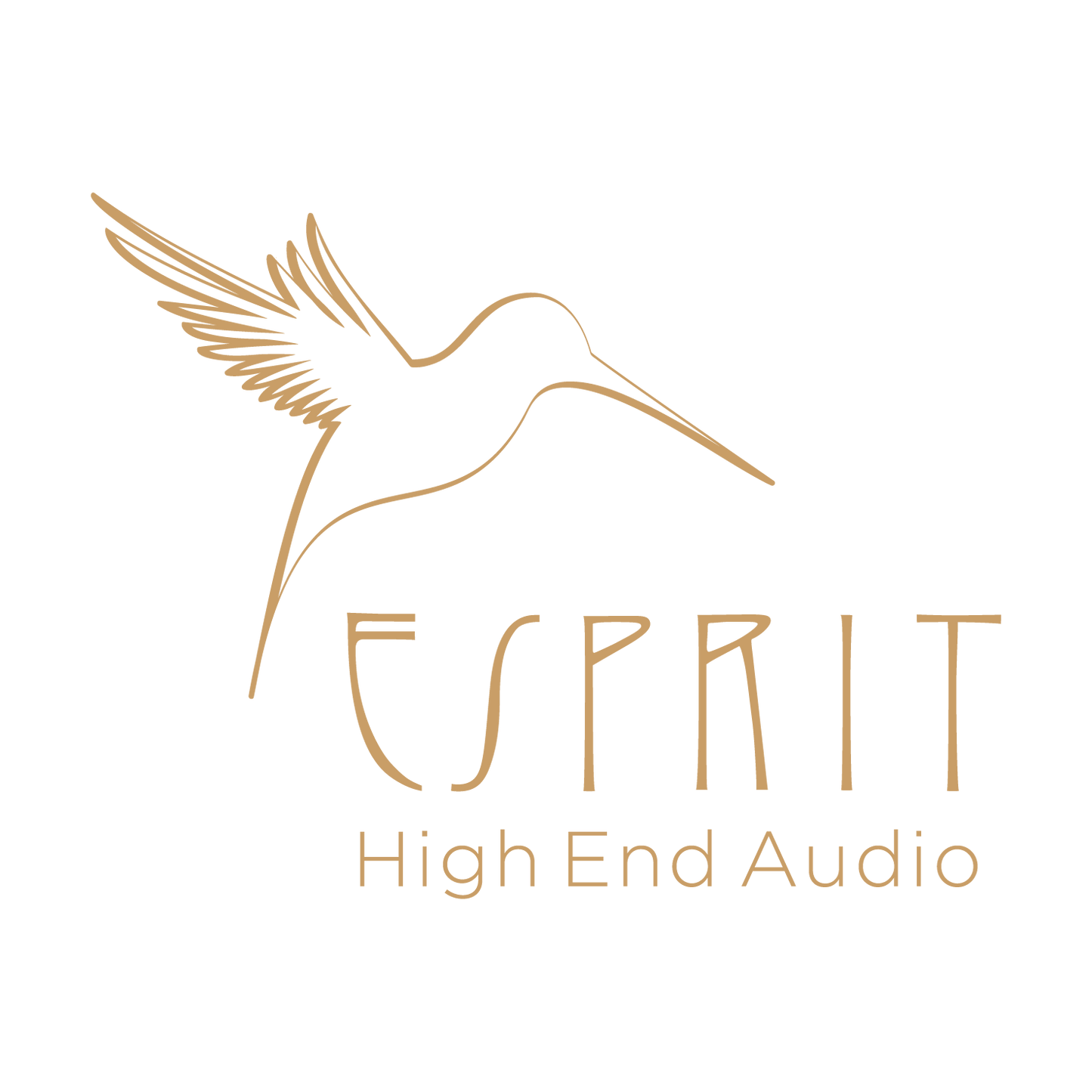 .Esprit Phono Cables - GenX