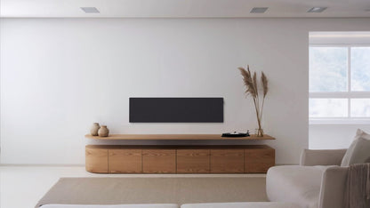 CANVAS Solo Speaker