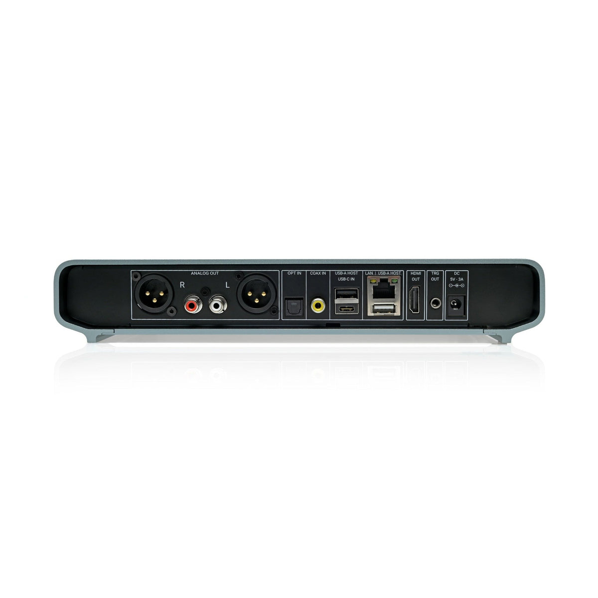 Volumio Primo Plus rear panel connections