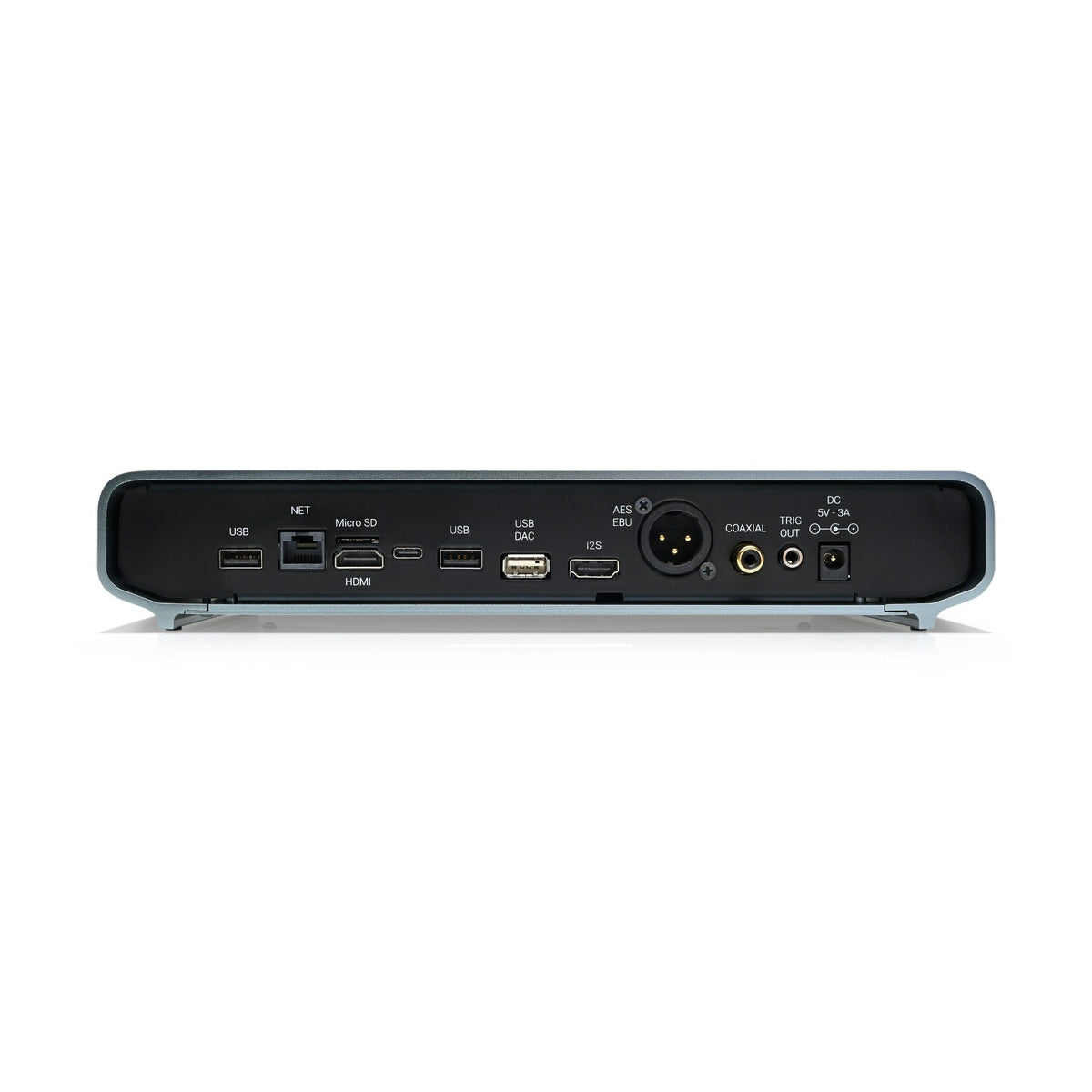 Volumio Rivo Plus rear panel connections