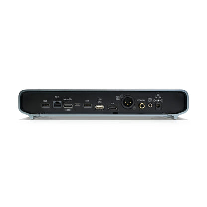 Volumio Rivo Plus rear panel connections